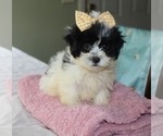 Image preview for Ad Listing. Nickname: puppy girl