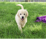 Image preview for Ad Listing. Nickname: Twinkle