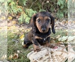 Image preview for Ad Listing. Nickname: Demi