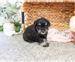 Image preview for Ad Listing. Nickname: Destiny