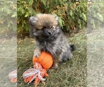 Image preview for Ad Listing. Nickname: Tessa
