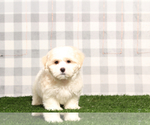 Image preview for Ad Listing. Nickname: Sailor
