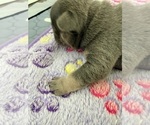  - Photo #2