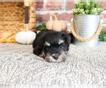 Image preview for Ad Listing. Nickname: Zada