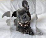 Image preview for Ad Listing. Nickname: Jolie