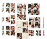 Small Photo #9 American Bully Puppy For Sale in ROCKFORD, IL, USA