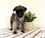Image preview for Ad Listing. Nickname: Oaks