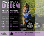 Image preview for Ad Listing. Nickname: Litter of 7