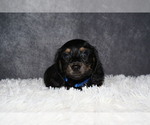 Image preview for Ad Listing. Nickname: Gravy