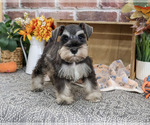 Image preview for Ad Listing. Nickname: Luther