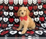 Image preview for Ad Listing. Nickname: Tuck