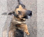 Small #3 Breeder Profile image