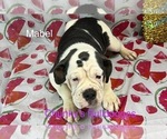 Image preview for Ad Listing. Nickname: Mabel