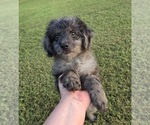 Image preview for Ad Listing. Nickname: Violet
