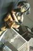 Small Photo #1 Doberman Pinscher Puppy For Sale in SUISUN CITY, CA, USA