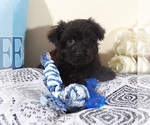 Image preview for Ad Listing. Nickname: Earl