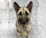 Small #2 Breeder Profile image