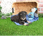 Image preview for Ad Listing. Nickname: Waylon
