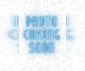 Border Collie-Pembroke Welsh Corgi Mix Dogs for adoption in Turlock, CA, USA
