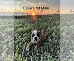 Image preview for Ad Listing. Nickname: 1st Male