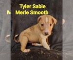 Image preview for Ad Listing. Nickname: Tyler