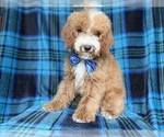 Image preview for Ad Listing. Nickname: Pablo