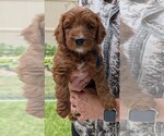 Image preview for Ad Listing. Nickname: Cubby