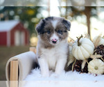 Image preview for Ad Listing. Nickname: Wilder