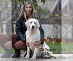 Image preview for Ad Listing. Nickname: Me Gusta