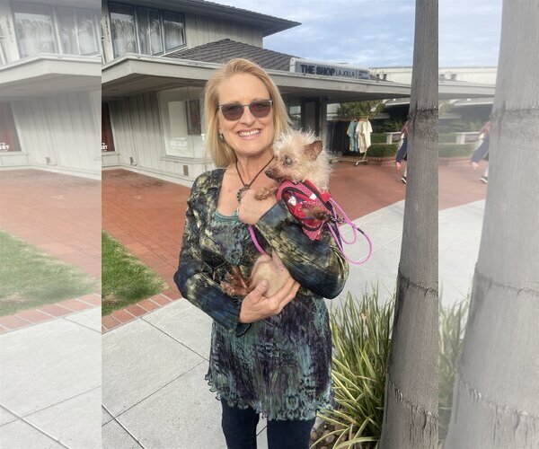 Medium Photo #3 Mutt Puppy For Sale in Imperial Beach, CA, USA