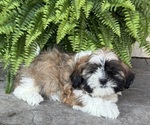 Image preview for Ad Listing. Nickname: Sierra