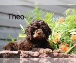 Image preview for Ad Listing. Nickname: Theo