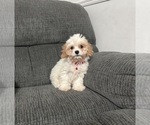 Image preview for Ad Listing. Nickname: Jerry