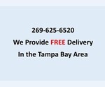 Small Photo #2 German Shepherd Dog Puppy For Sale in CLEARWATER, FL, USA
