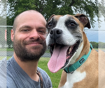 Small #10 Boxer