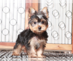 Image preview for Ad Listing. Nickname: Gunner