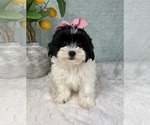 Image preview for Ad Listing. Nickname: Sally