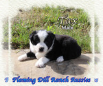 Image preview for Ad Listing. Nickname: Tax