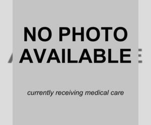 Mutt Dogs for adoption in San Antonio, TX, USA