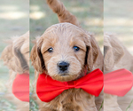 Image preview for Ad Listing. Nickname: Red Haven