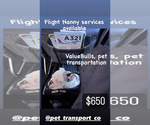 Image preview for Ad Listing. Nickname: Pet Transportat