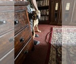 Small #27 Great Dane