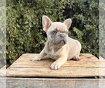 Image preview for Ad Listing. Nickname: Jaxon