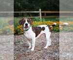 Small #1 Breeder Profile image