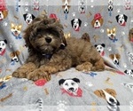 Image preview for Ad Listing. Nickname: Drake