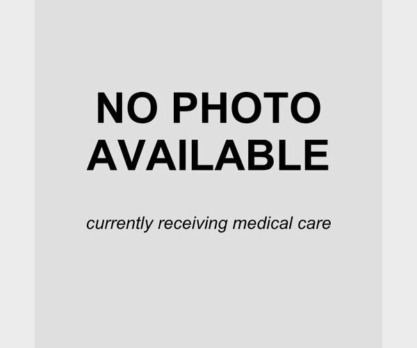 Medium Photo #1 Mutt Puppy For Sale in San Antonio, TX, USA