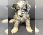 Image preview for Ad Listing. Nickname: Slate