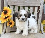 Image preview for Ad Listing. Nickname: General