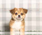 Image preview for Ad Listing. Nickname: Travis