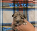 Small #18 Chizer